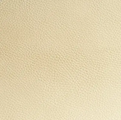 Earth Beige