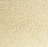 Earth Beige