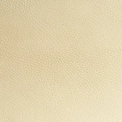 Earth Beige