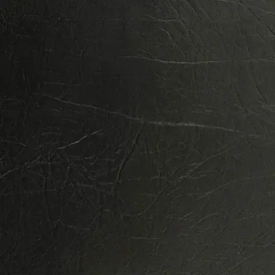 Coal