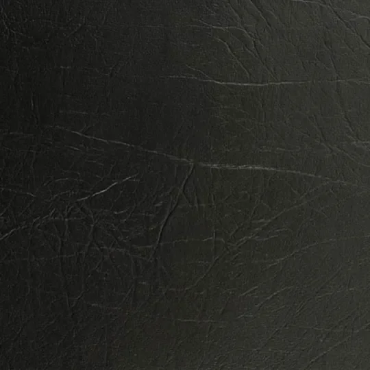 Coal