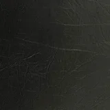 Coal