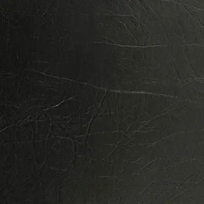 Coal