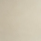 Paloma Grey