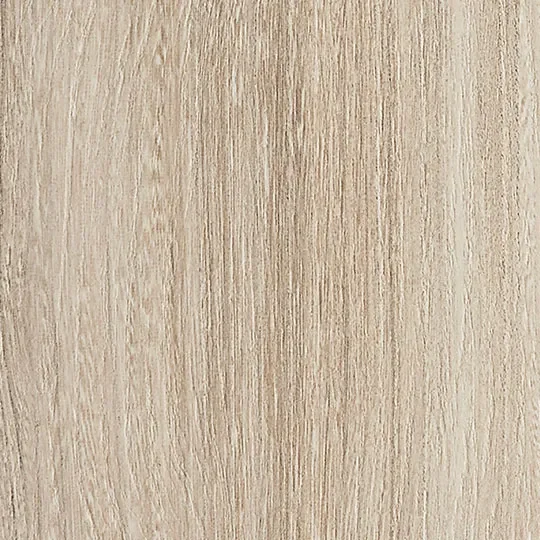 金黃榆木