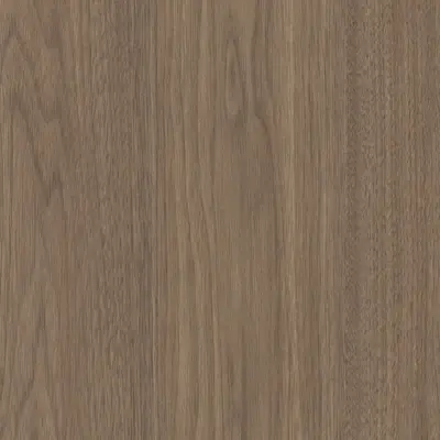Hazel Walnut