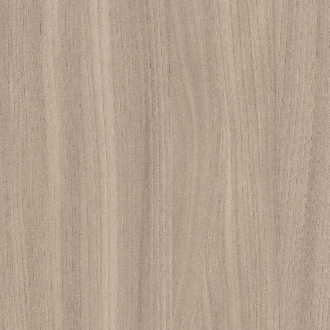 Buff Elm