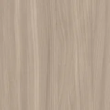 Buff Elm