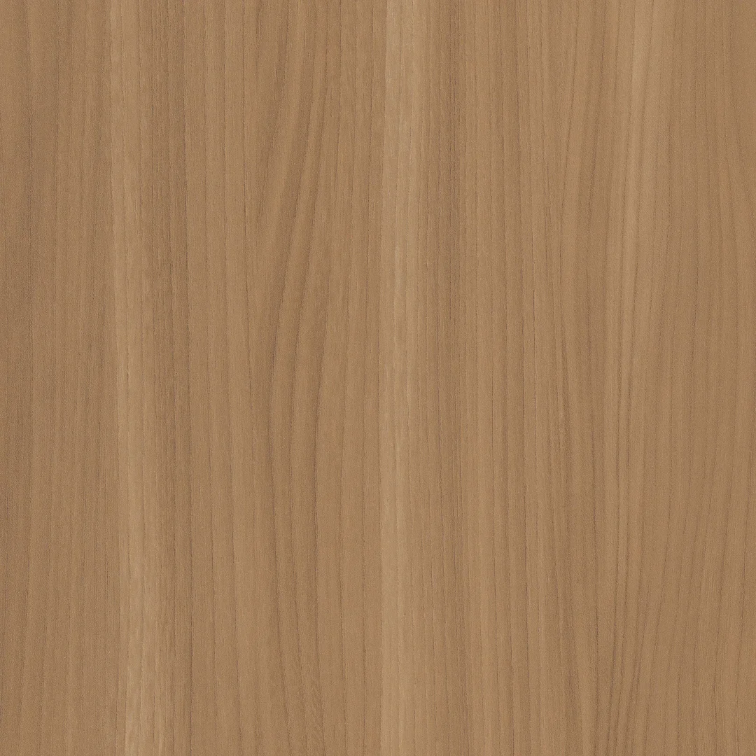 Beige Elm