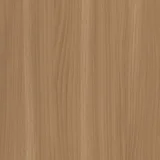 Beige Elm