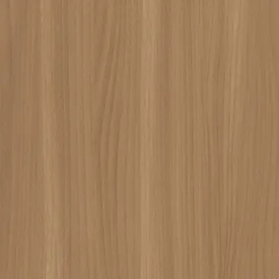 Beige Elm
