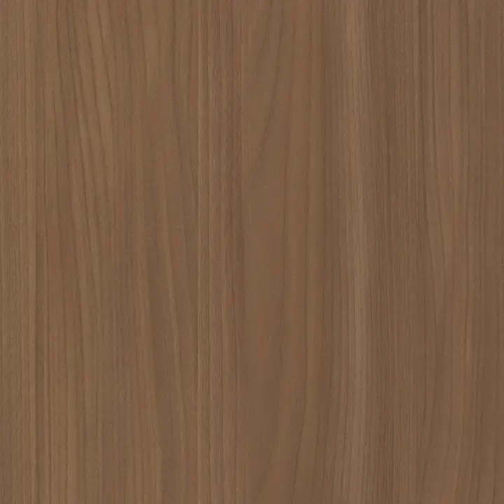 Camel Elm