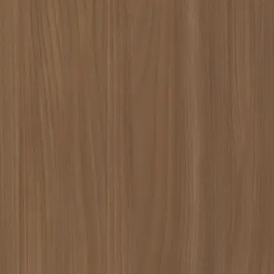 Camel Elm