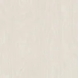 White Washed Birchply