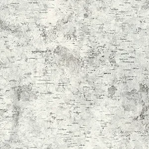 Birchbark