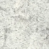 Birchbark