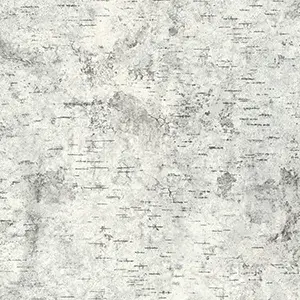 Birchbark