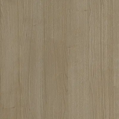 Sand Cherry