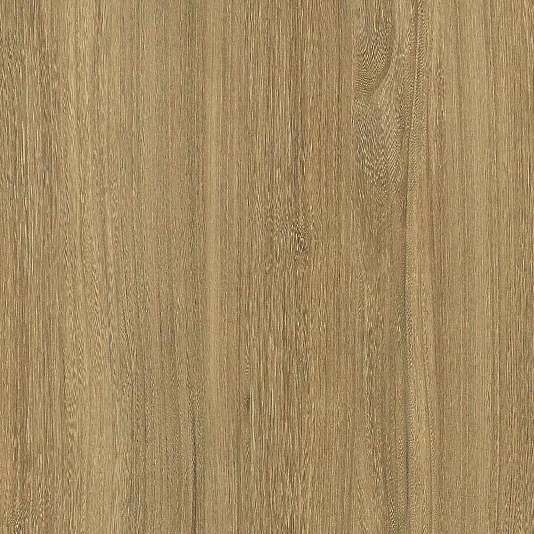 Honey Elm