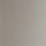 香槟金