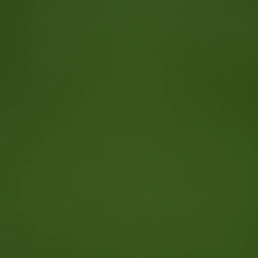 Algae