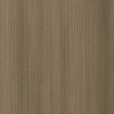 Eucalyptus Naturale