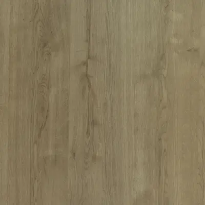Planked Urban Oak