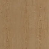 山陵枫木(山)