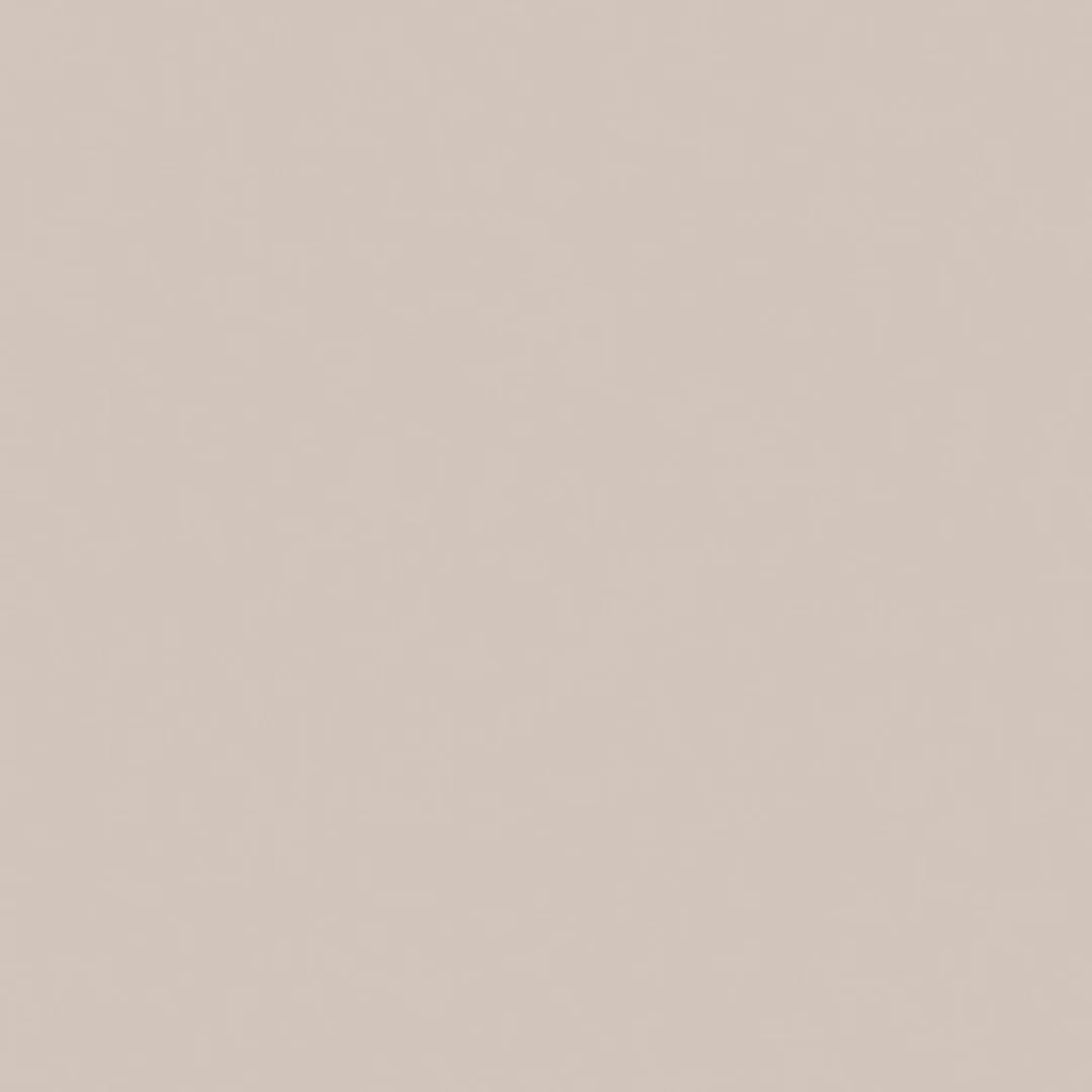 Oyster Gray