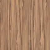 Oiled Walnut