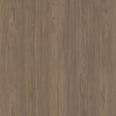 Hazel Walnut