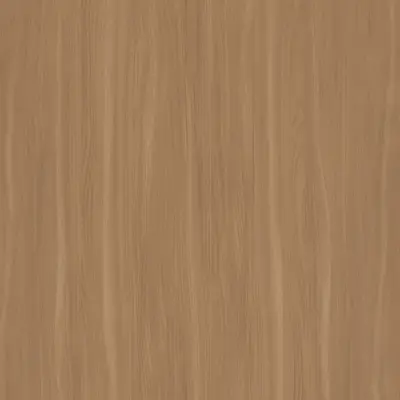 Beige Elm