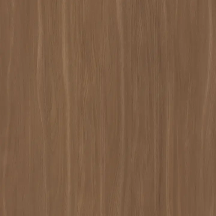 Camel Elm