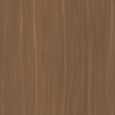 Camel Elm