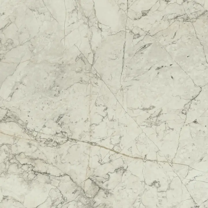 White Camouflage Marble