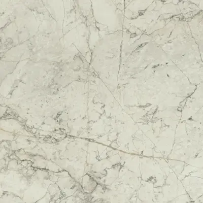White Camouflage Marble