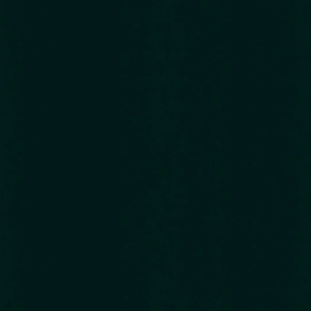 Forêt Nocturne