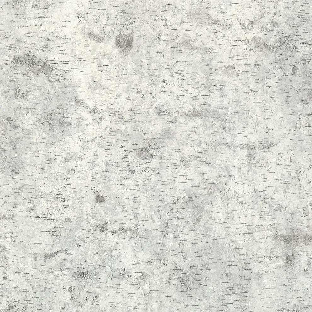 Birchbark