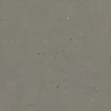 Flint Siltstone