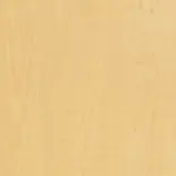 Sand Maple