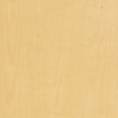 Sand Maple