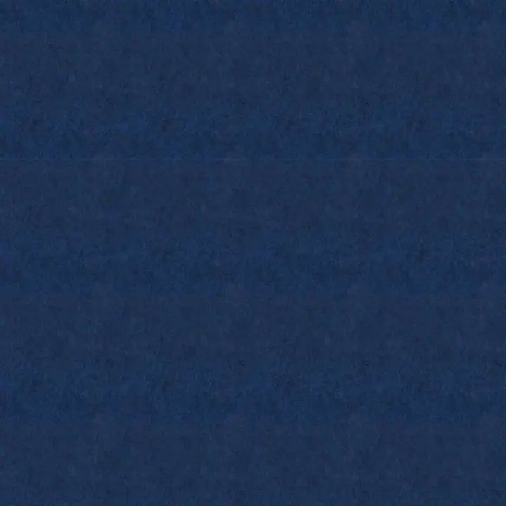 Denim Récupéré