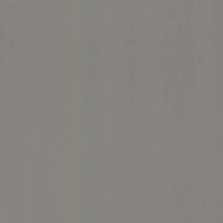 Acier Inoxydable