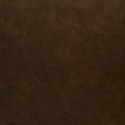 Bronze Leather