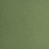 Green Felt