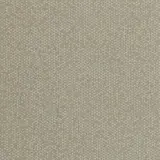 Energy Cotton