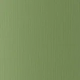 Lettuce