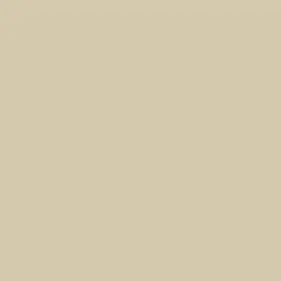 Pumice