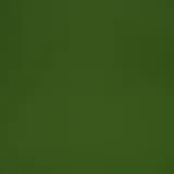 Algae