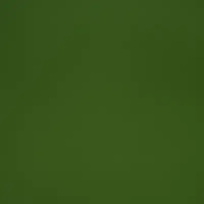 Algae